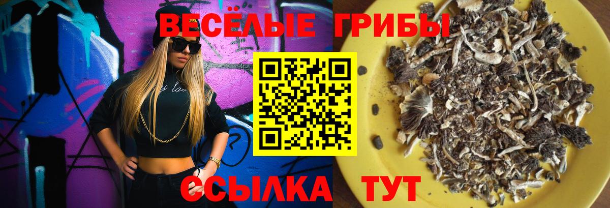 Псилоцибиновые грибы прущие грибы Чебоксары