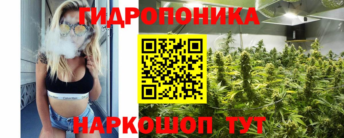 Каннабис LSD WEED  Вход с VPN  Чебоксары  Конопля семена  Канабис семена 